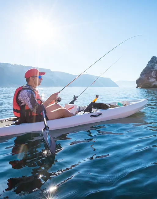 Les espèces les plus pêchées